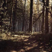 Blair Witch #13797
