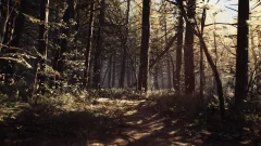 Screenshot Blair Witch