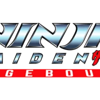 Ninja Gaiden: Ragebound #27143