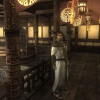 Two Worlds II HD #32421
