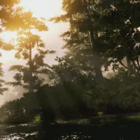 Mafia 3 #6622