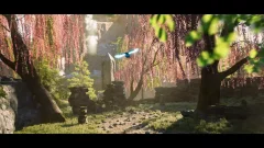 Screenshot Spirit of the North 2