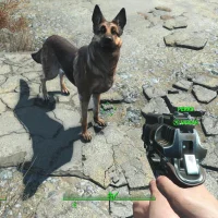Fallout 4 #1764