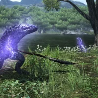 Dragon's Dogma Online #655