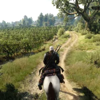 The Witcher 3: Wild Hunt - In Heart of Stone #1160
