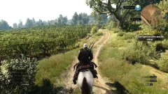Screenshot The Witcher 3: Wild Hunt - In Heart of Stone
