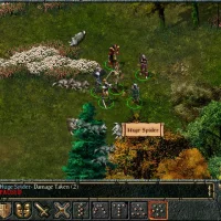 Baldur's Gate #22941