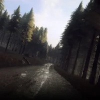 DiRT Rally 2.0 #14193
