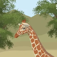 The Giraffe G #31713