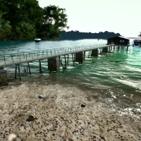 Ultimate Fishing Simulator #12798