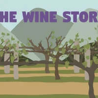The Wine Story #31822