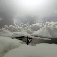 Microsoft Flight Simulator #14681