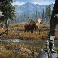 Far Cry 5 #12138