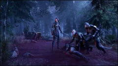 Screenshot The Elder Scrolls Online: Greymoor