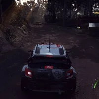 WRC 5 #1325