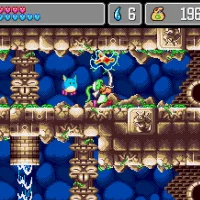 Wonder Boy Collection #24056