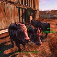 Fallout 4 #8526