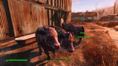 Screenshot Fallout 4