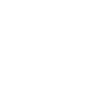 Star Wars Zero Company #39346