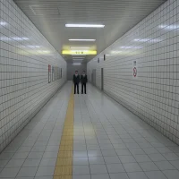 The Exit 8 #23527