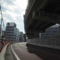 GT Sport #4513