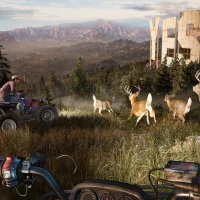 Far Cry 5 #12163