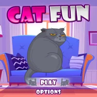 Cat Fun #31063
