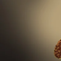 The Taco Quiz #32191