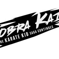 Cobra Kai: The Karate Kid Saga Continues #38715