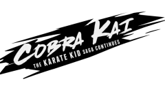 Screenshot Cobra Kai: The Karate Kid Saga Continues