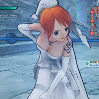 One Piece: Pirate Warriors 3 #747