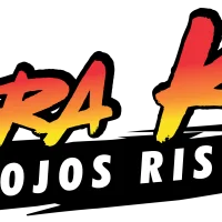 Cobra Kai 2: Dojos Rising #21592