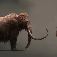 Far Cry: Primal #1266