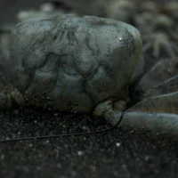Death Stranding #5167