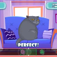 Cat Fun #31230