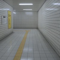 The Exit 8 #23534