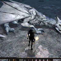Neverwinter Nights: Enhanced Edition #34595