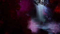 Screenshot Directive 8020