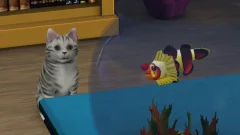 Screenshot The Sims 3: Pets