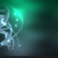Wallpaper Engine #30195