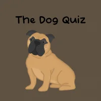The Dog Quiz #32057
