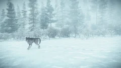 Screenshot Kona