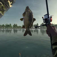 Ultimate Fishing Simulator #12805