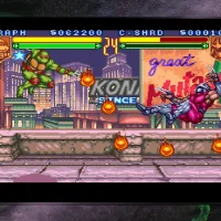 Teenage Mutant Ninja Turtles: The Cowabunga Collection #38981