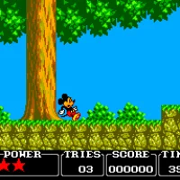 Castle of Illusion Starring Mickey Mouse #40174