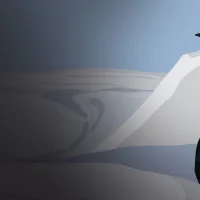 The Penguin P #31729