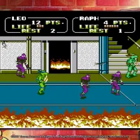 Teenage Mutant Ninja Turtles: The Cowabunga Collection #38980