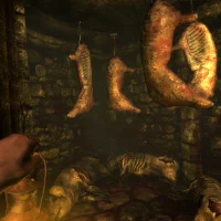 Amnesia: Collection #30126