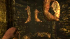 Screenshot Amnesia: Collection