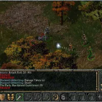 Baldur's Gate #22944